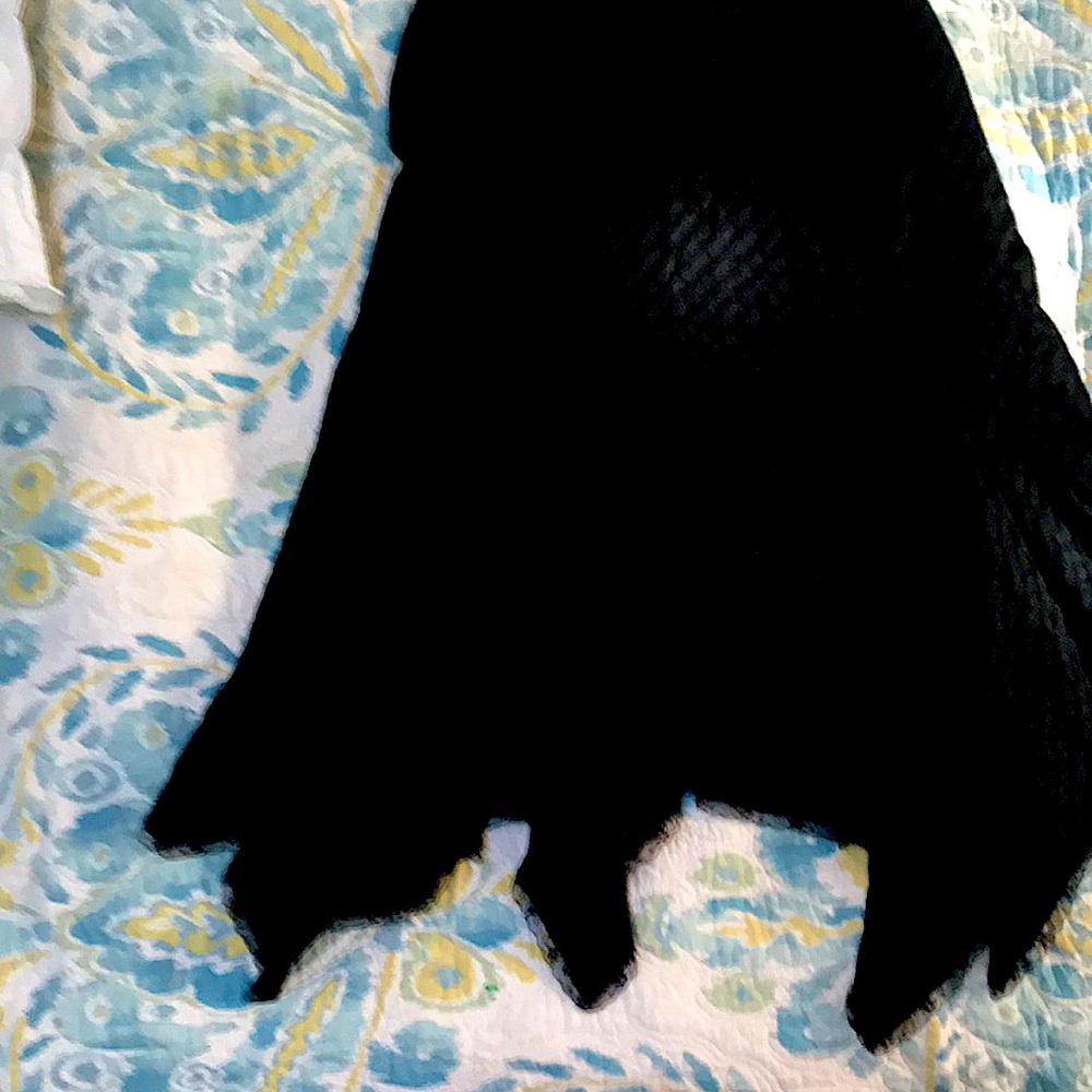 Gap Handkerchief skirt